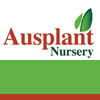Ausplant
