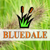 Bluedale