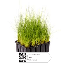 Save time on the nursery floor
